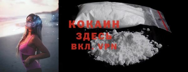 метамфетамин Ельня