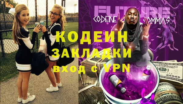 мдпв Елизово