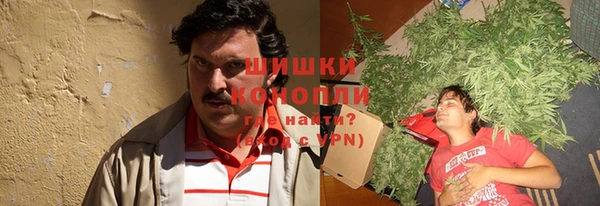 мдпв Елизово