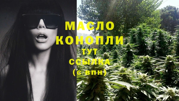метамфетамин Ельня